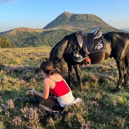 Hébergement de vacances Maison Au Coeur Des Volcans
